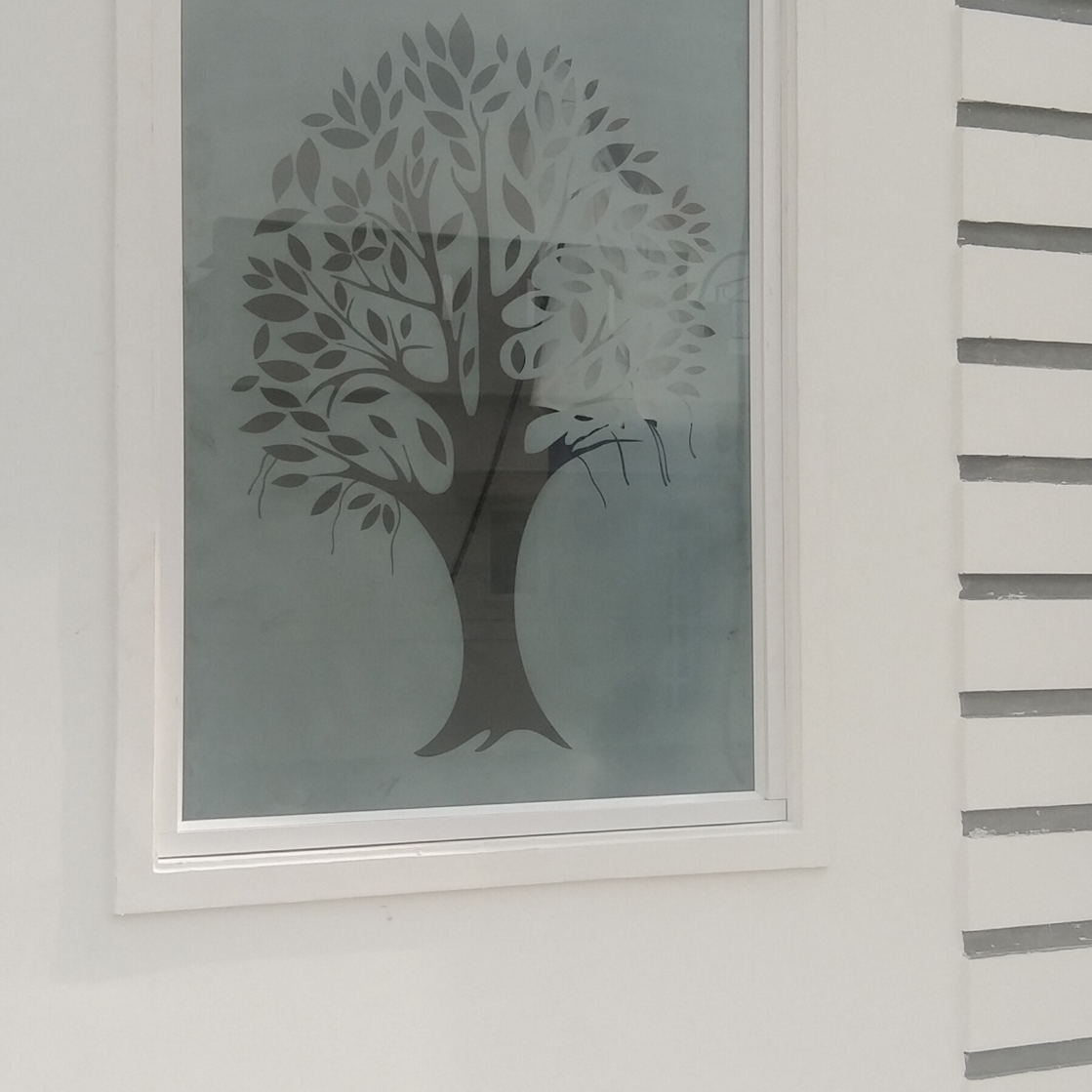 Aluminium Windows
